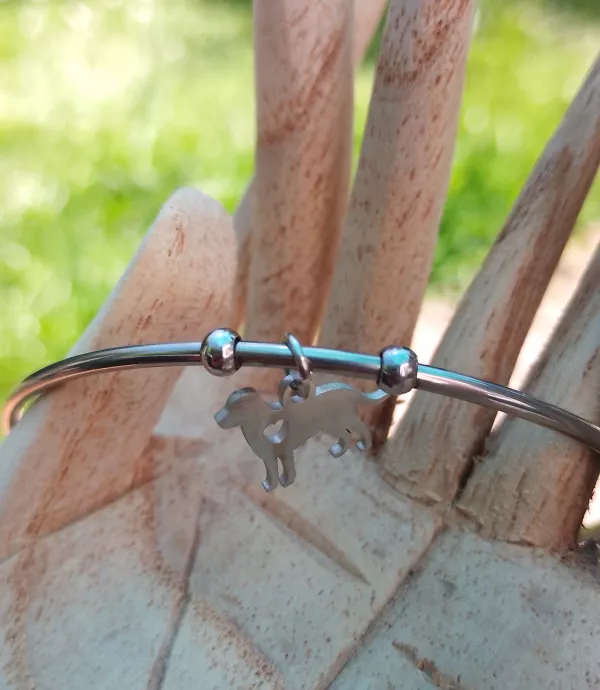 Bracelet jonc chien en acier inoxydable argenté